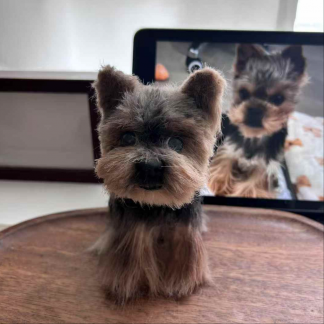 Custom 3D Pet Clone Sculpture - Realistic Handcrafted Wool Pet Portrait